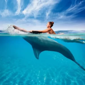swimming with dolphins (1)