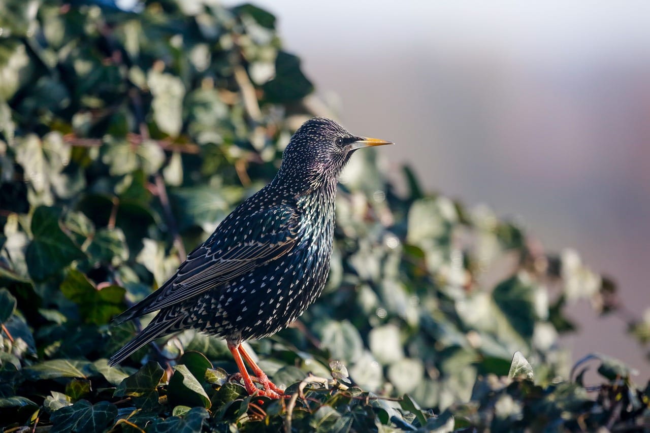 Egipt dla vlogerów – najciekawsze miejsca do nagrywania blog-turystyczny (273)