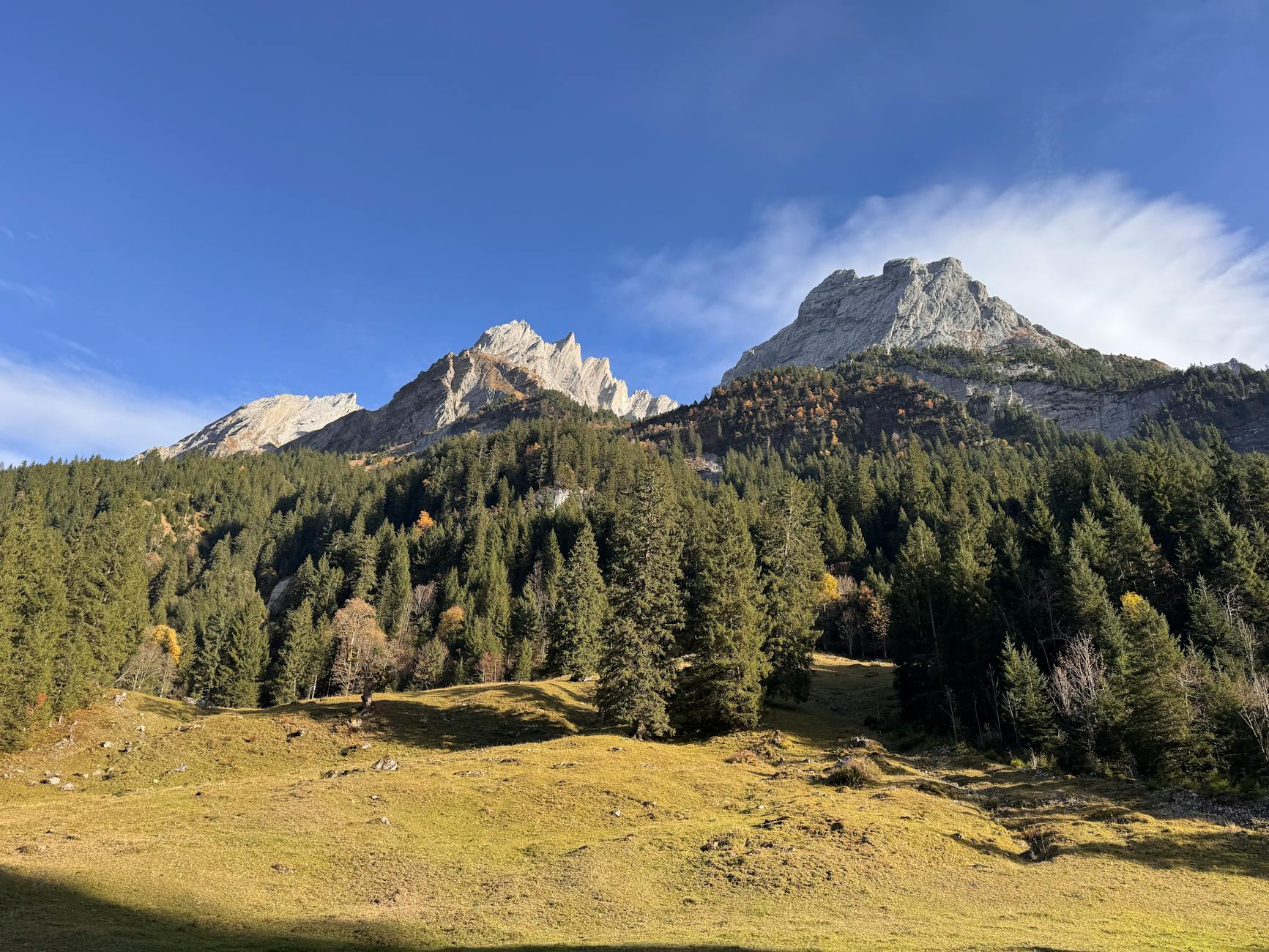 Jesienny górski krajobraz z lasem w Innertkirchen w Szwajcarii