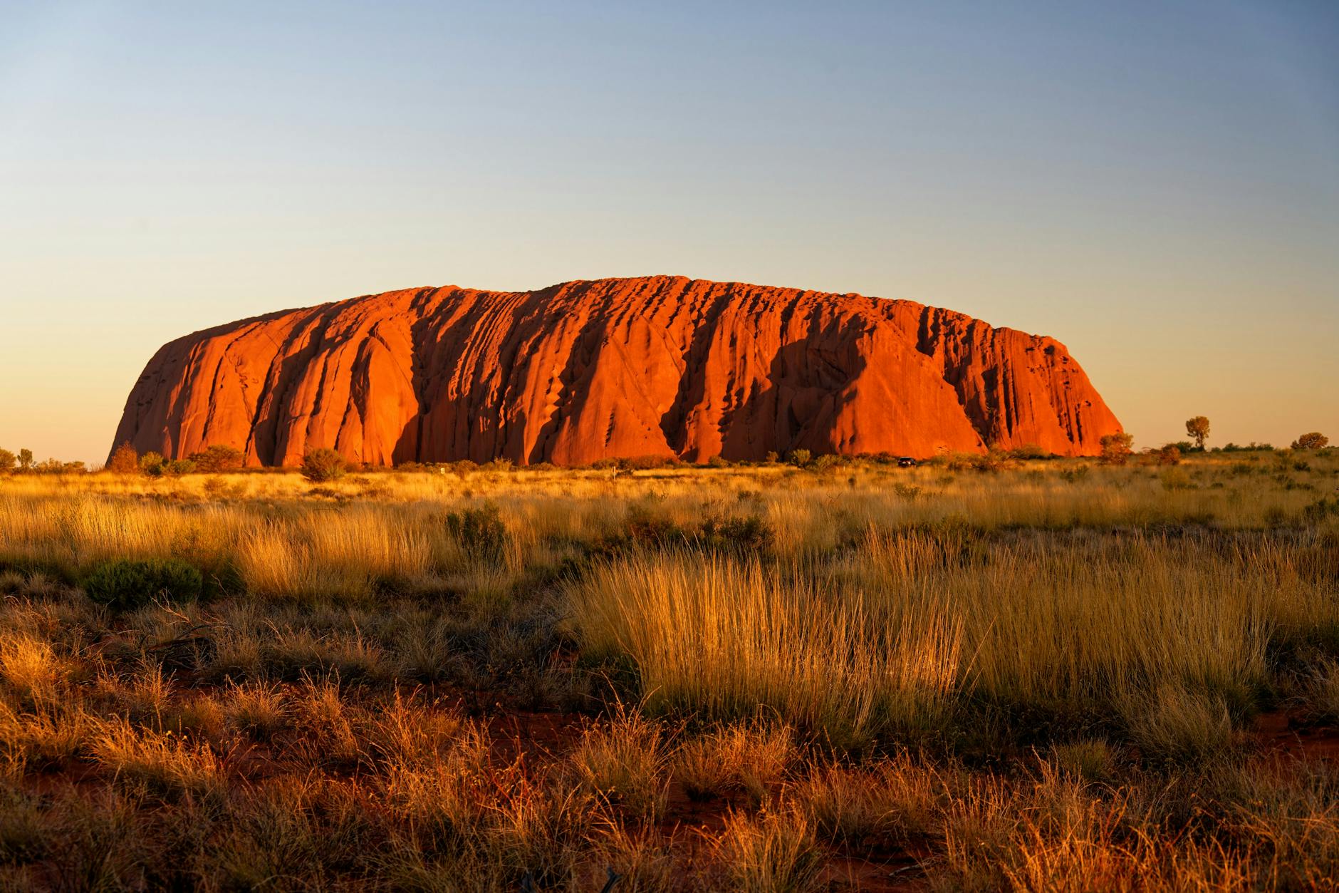 Uluru o wschodzie słońca pośród czerwonej pustyni Australii