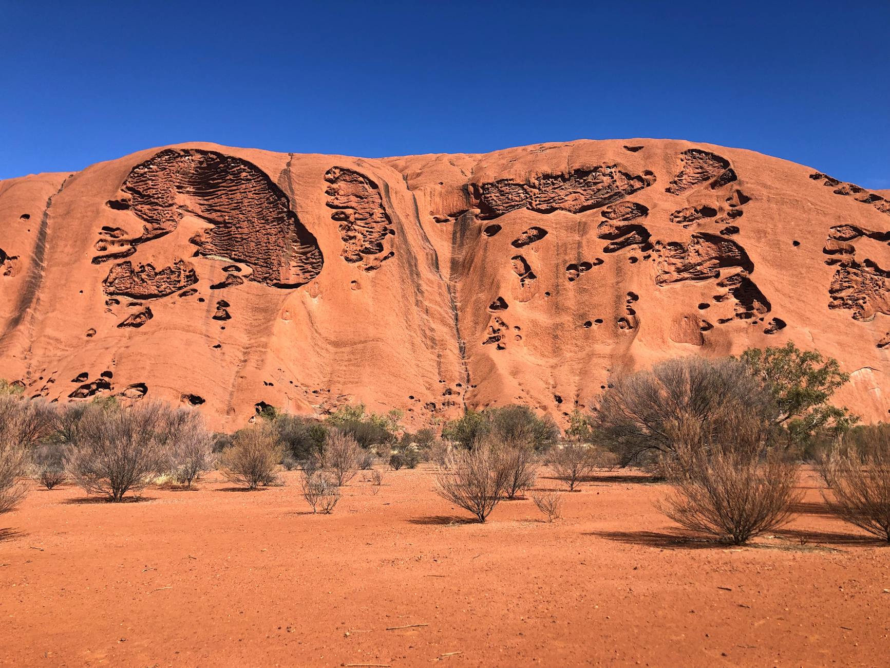 Uluru z czerwonego piaskowca na tle pustynnego krajobrazu Australii